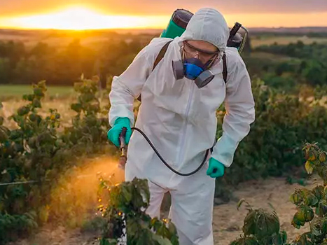 Aperfeiçoamento em Câncer relacionado ao Trabalho e Ambiente